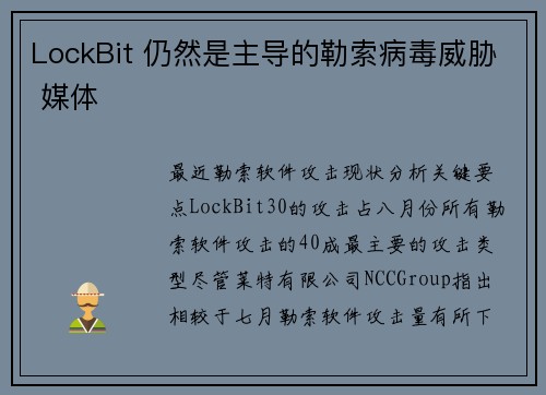LockBit 仍然是主导的勒索病毒威胁 媒体